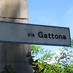 Il Rovere Gattico