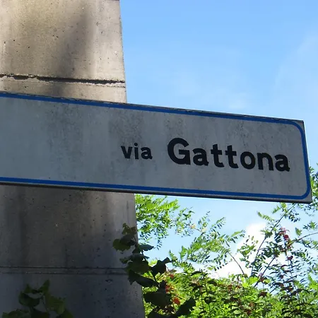 Il Rovere Gattico
