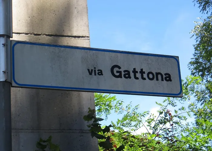 Il Rovere Gattico
