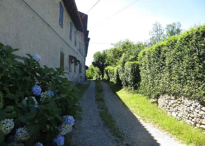 Il Rovere Gattico